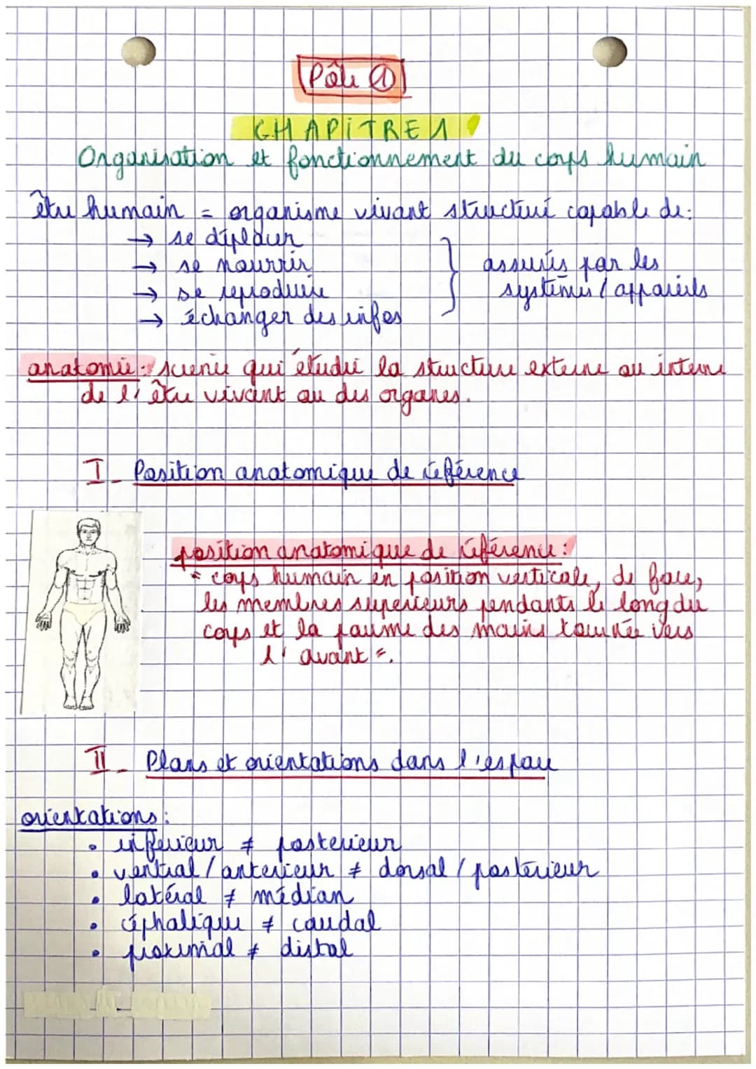 Poli
CHAPITRE 1.
Organisation et fonctionnement du corps humain
êtu humain
=
organisme vivant structure capable de
I se diplour
→ se nourrir