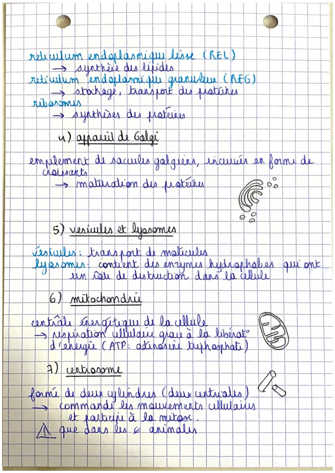 Poli
CHAPITRE 1.
Organisation et fonctionnement du corps humain
êtu humain
=
organisme vivant structure capable de
I se diplour
→ se nourrir