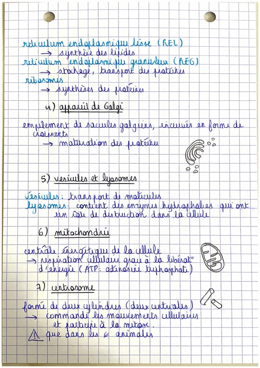 Poli
CHAPITRE 1.
Organisation et fonctionnement du corps humain
êtu humain
=
organisme vivant structure capable de
I se diplour
→ se nourrir