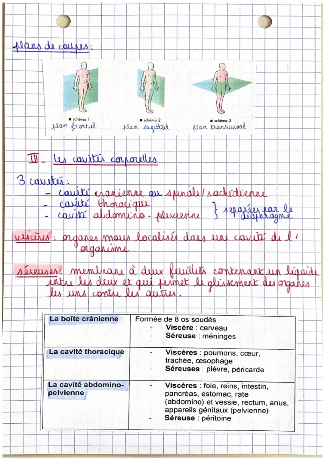 Poli
CHAPITRE 1.
Organisation et fonctionnement du corps humain
êtu humain
=
organisme vivant structure capable de
I se diplour
→ se nourrir