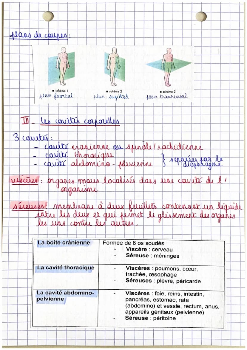 Poli
CHAPITRE 1.
Organisation et fonctionnement du corps humain
êtu humain
=
organisme vivant structure capable de
I se diplour
→ se nourrir