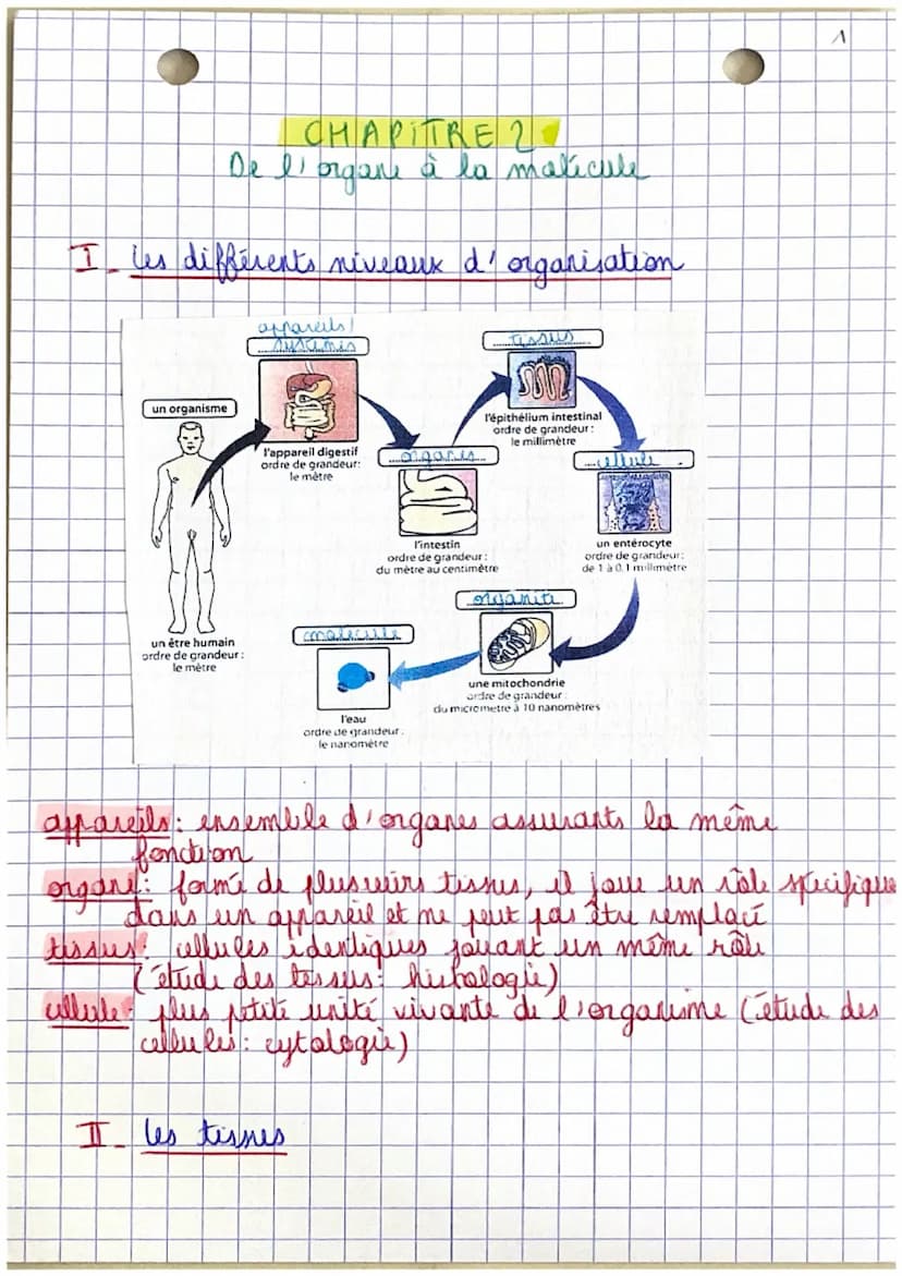 Poli
CHAPITRE 1.
Organisation et fonctionnement du corps humain
êtu humain
=
organisme vivant structure capable de
I se diplour
→ se nourrir