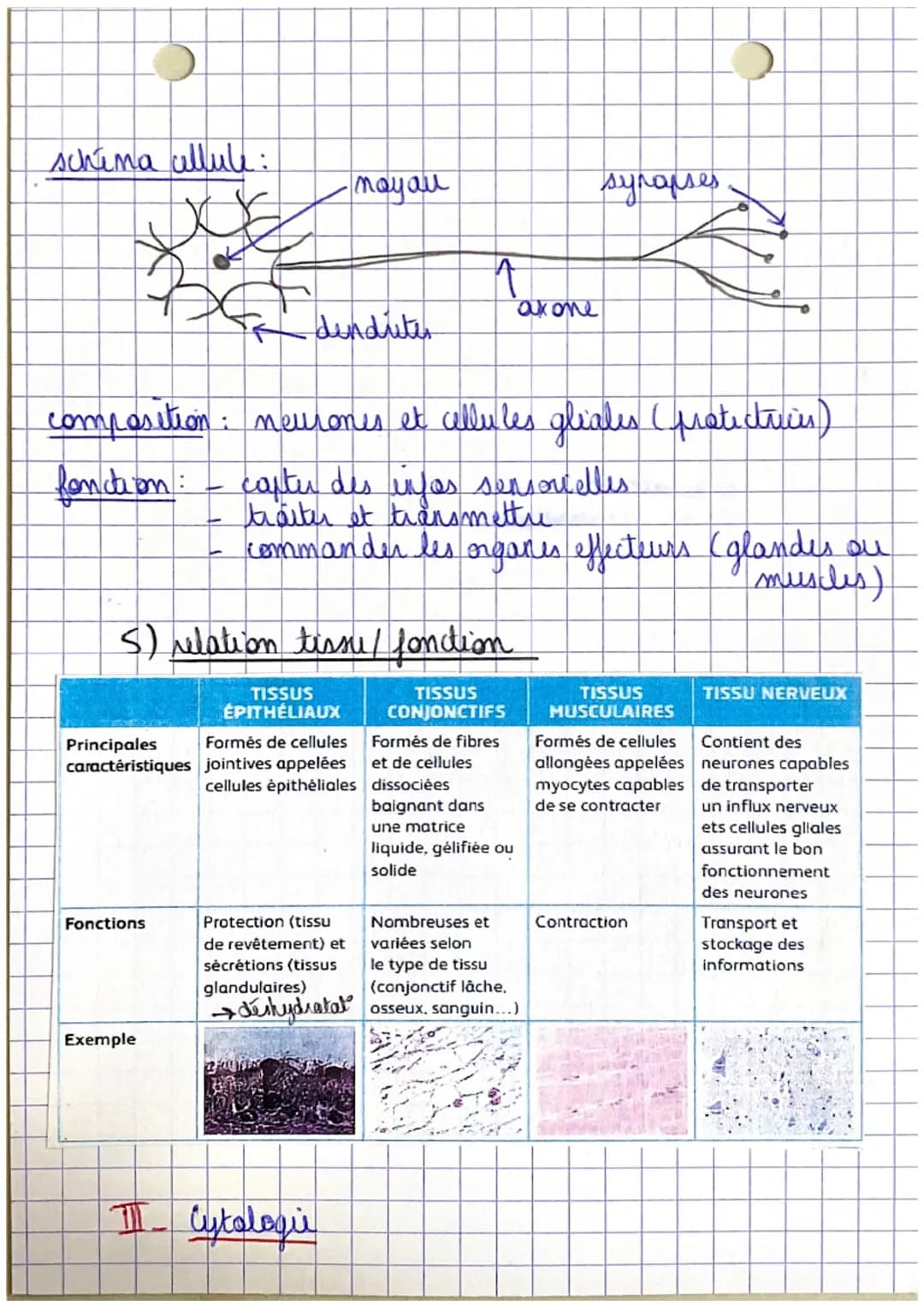 Poli
CHAPITRE 1.
Organisation et fonctionnement du corps humain
êtu humain
=
organisme vivant structure capable de
I se diplour
→ se nourrir