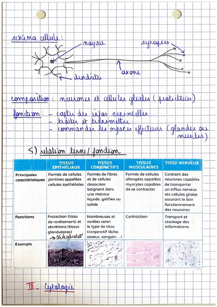 Poli
CHAPITRE 1.
Organisation et fonctionnement du corps humain
êtu humain
=
organisme vivant structure capable de
I se diplour
→ se nourrir