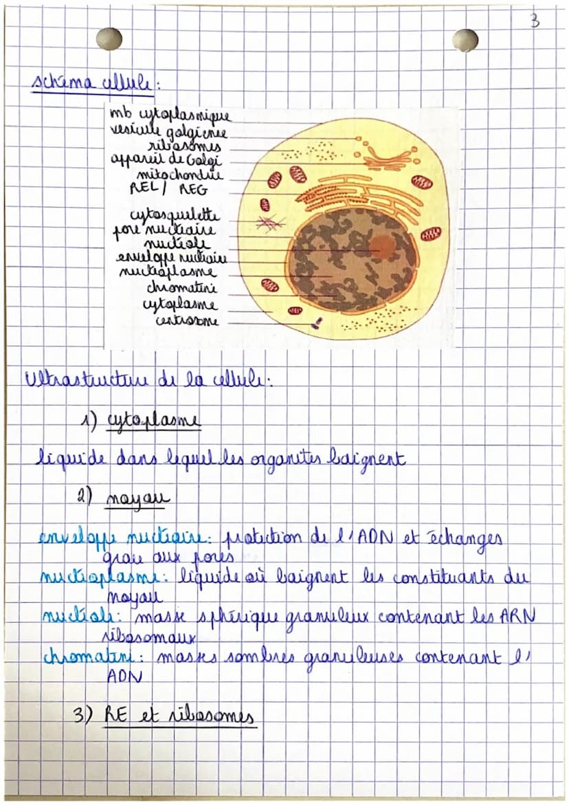 Poli
CHAPITRE 1.
Organisation et fonctionnement du corps humain
êtu humain
=
organisme vivant structure capable de
I se diplour
→ se nourrir