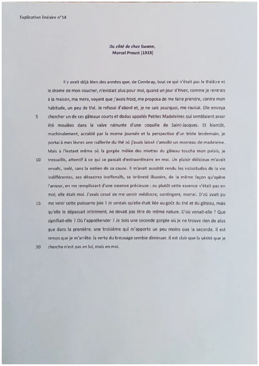 ●
Du côté de chez Swann - Marcel Proust (1913)
La Célébration du Monde
L'auteur: Malgré sa santé fragile, Marcel Proust fréquente très jeune