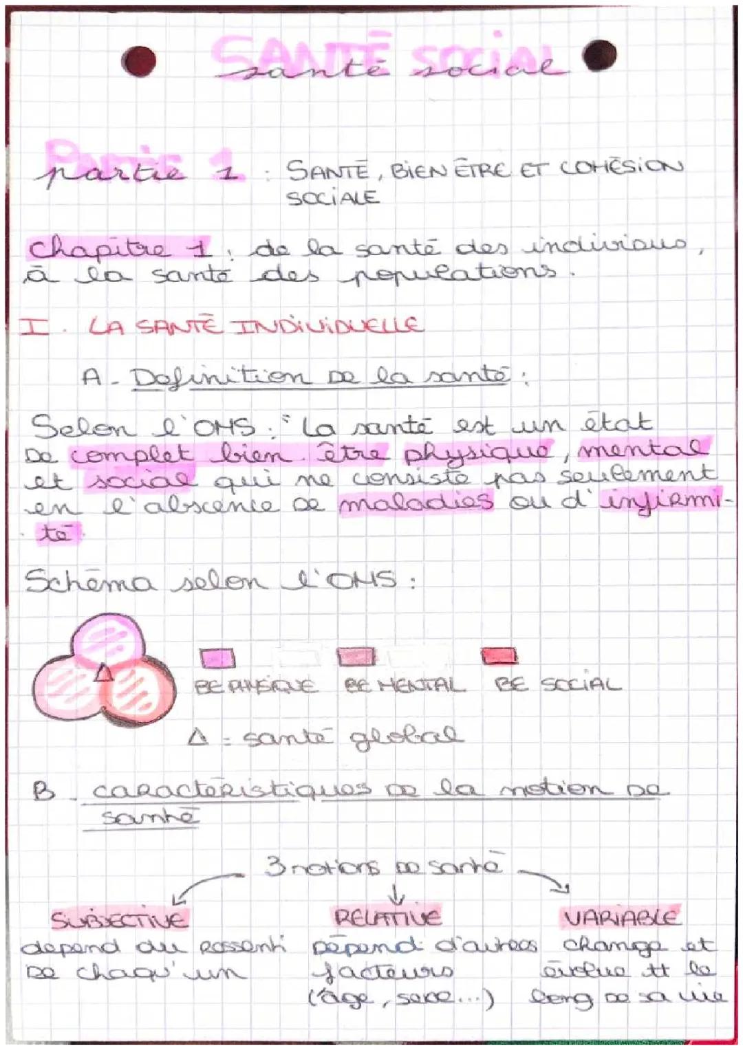 DE LA SANTÉ DES INDIVIDUS, A LA SANTÉ DES POPULATIONS 