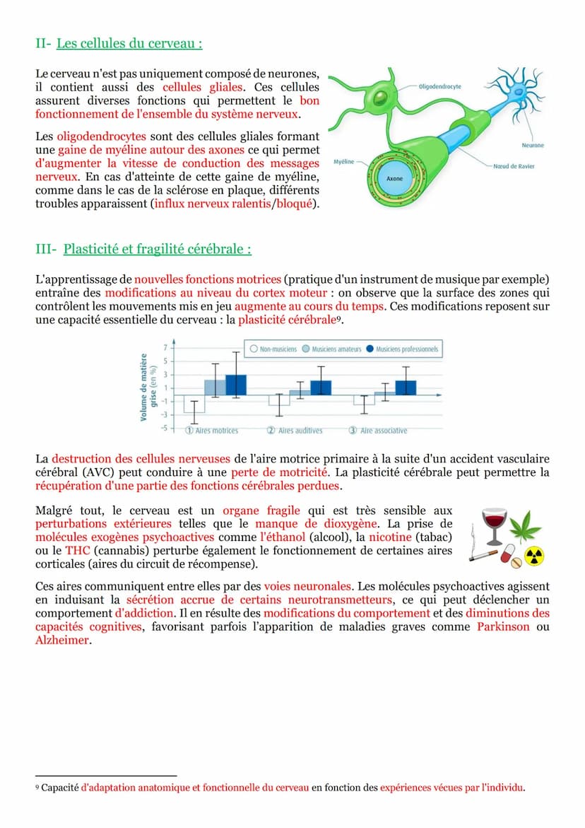 I- Un arc reflexe, le circuit nerveux d'un réflexe myotatique :
Un réflexe est une réaction motrice involontaire et
stéréotypée en réponse à