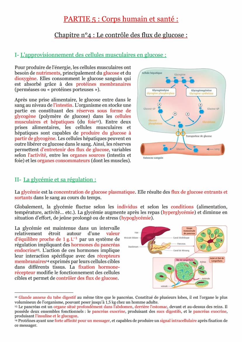 I- Un arc reflexe, le circuit nerveux d'un réflexe myotatique :
Un réflexe est une réaction motrice involontaire et
stéréotypée en réponse à