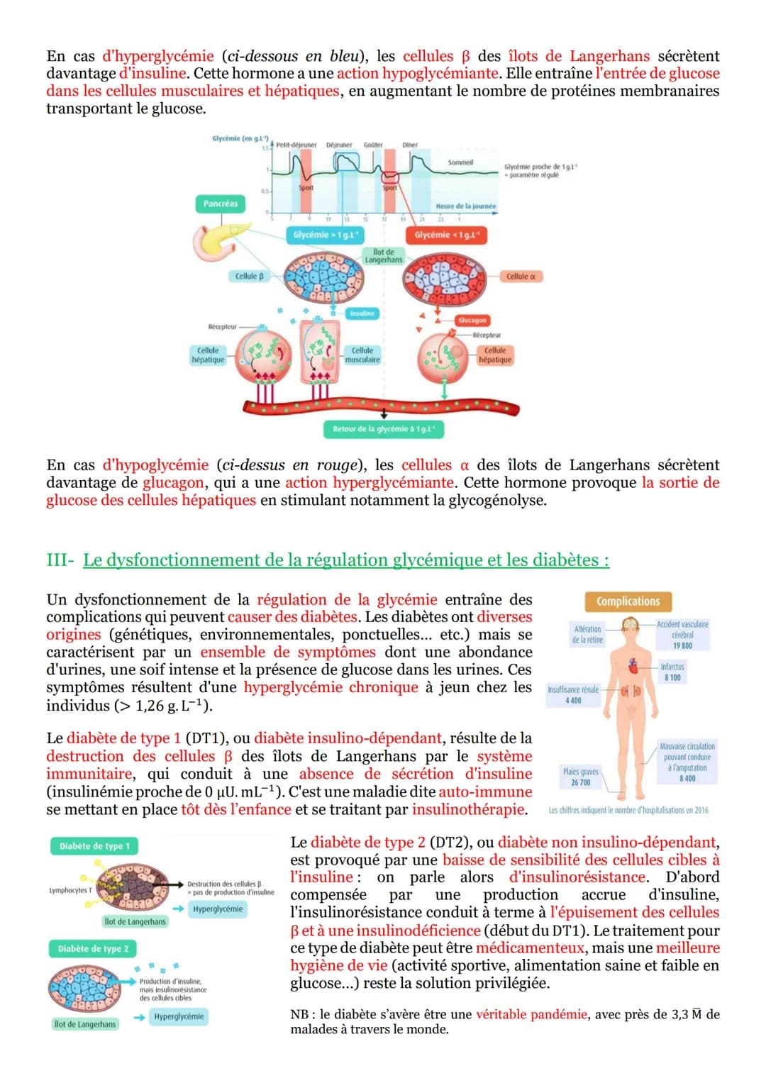 I- Un arc reflexe, le circuit nerveux d'un réflexe myotatique :
Un réflexe est une réaction motrice involontaire et
stéréotypée en réponse à