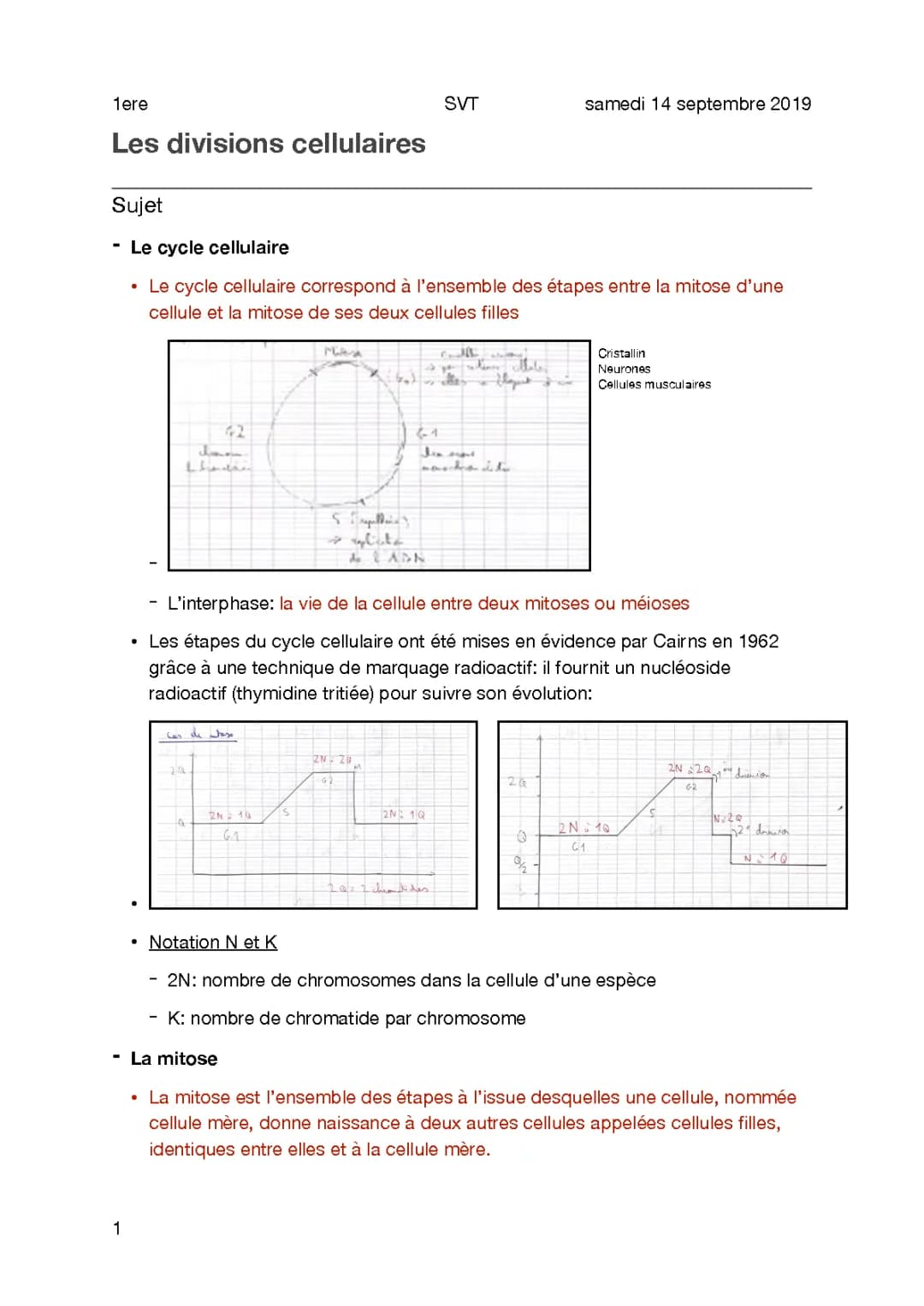 Cours 1.3 - Les divisions cellulaires