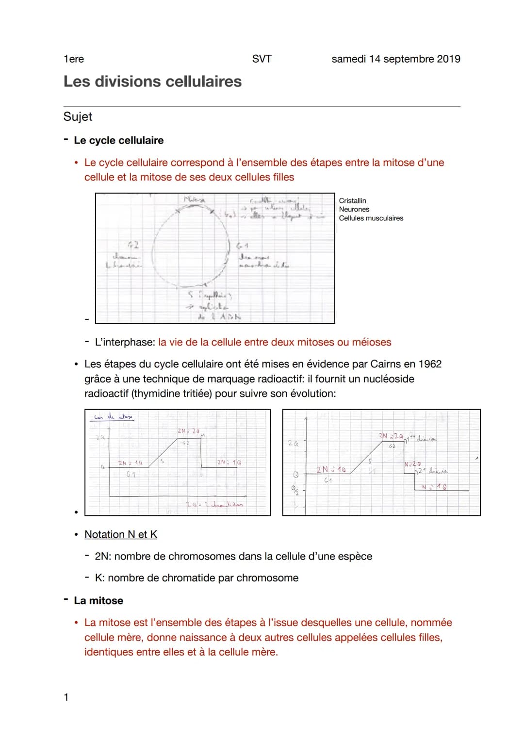 1ere
Les divisions cellulaires
Sujet
- Le cycle cellulaire
• Le cycle cellulaire correspond à l'ensemble des étapes entre la mitose d'une
ce