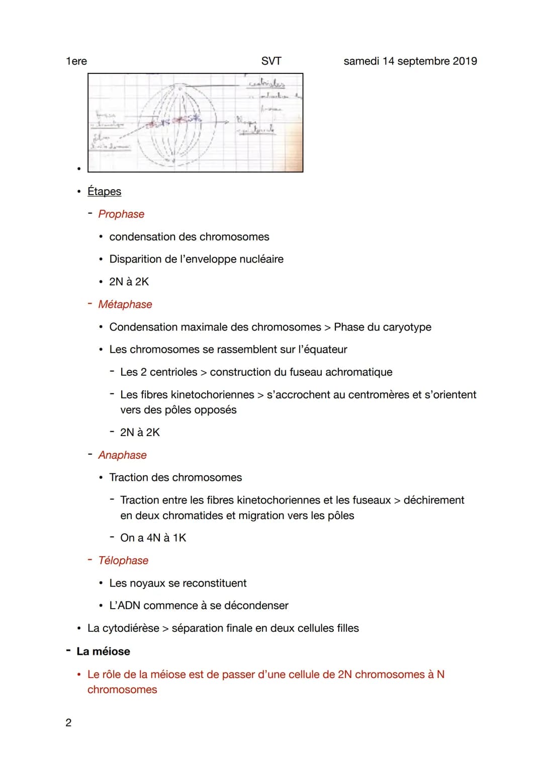 1ere
Les divisions cellulaires
Sujet
- Le cycle cellulaire
• Le cycle cellulaire correspond à l'ensemble des étapes entre la mitose d'une
ce