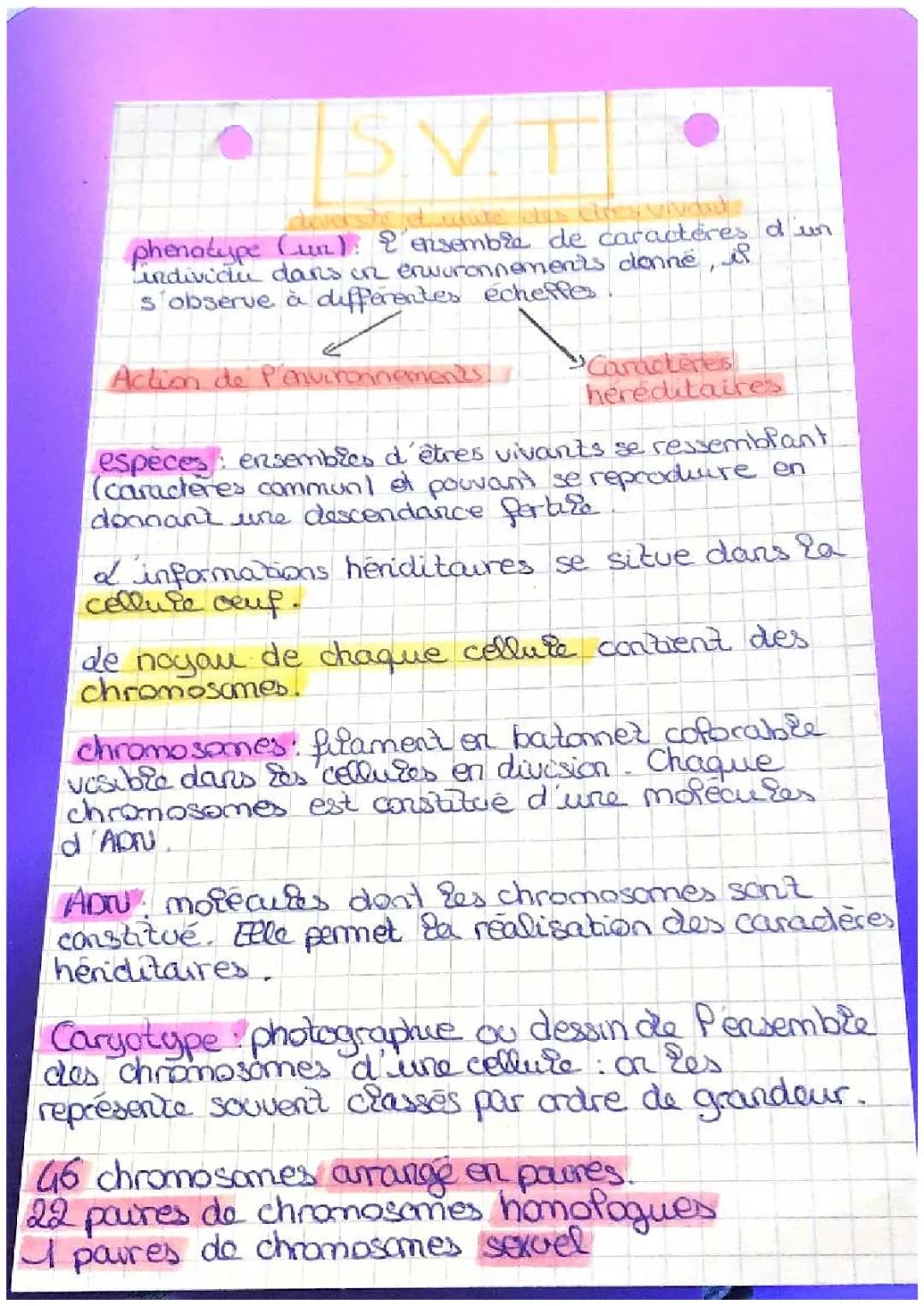 diversité et unité des êtres vivant 