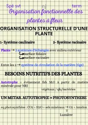 Know organisation fonctionnelle des plantes à fleur thumbnail