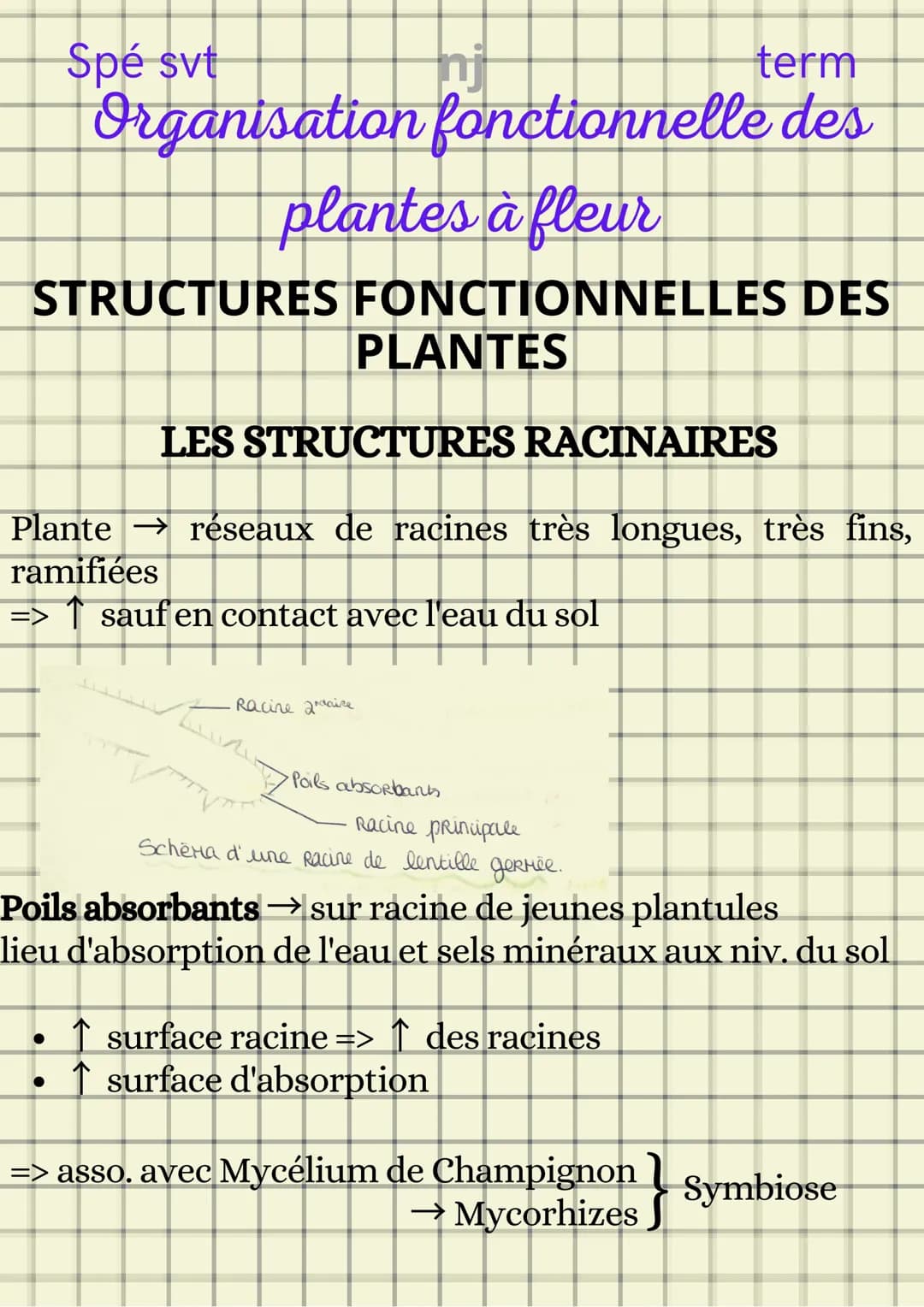 Spé svt
term
Organisation fonctionnelle des
plantes à fleur
ORGANISATION STRUCTURELLE D'UNE
PLANTE
1- Système caulinaire
2- Système racinair