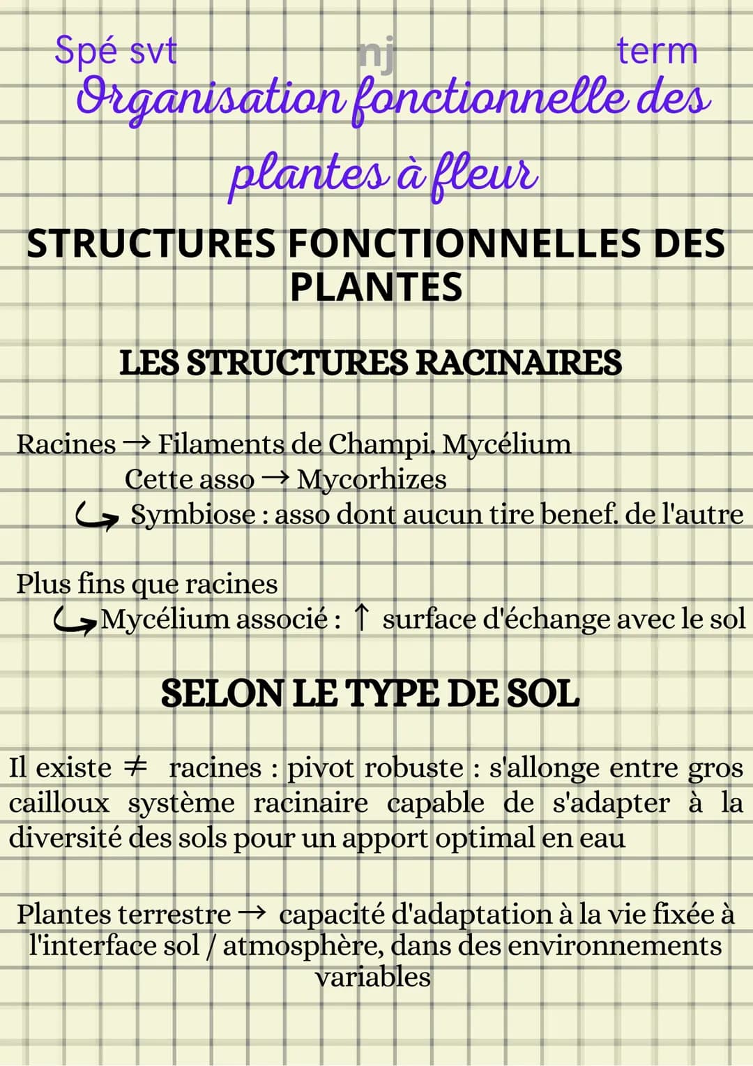 Spé svt
term
Organisation fonctionnelle des
plantes à fleur
ORGANISATION STRUCTURELLE D'UNE
PLANTE
1- Système caulinaire
2- Système racinair