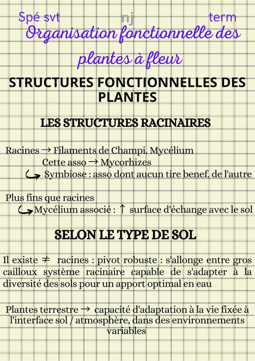 Spé svt
term
Organisation fonctionnelle des
plantes à fleur
ORGANISATION STRUCTURELLE D'UNE
PLANTE
1- Système caulinaire
2- Système racinair