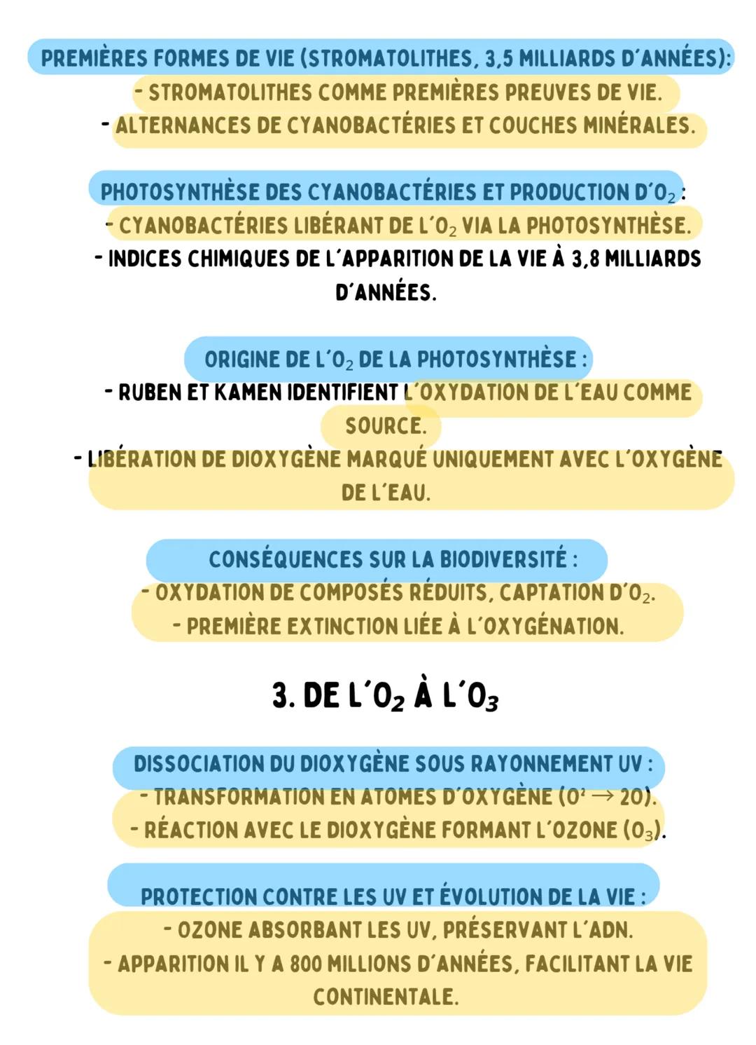Enseignement
Scientifique
1. L'ATMOSPHÈRE TERRESTRE À
L'ORIGINE DE LA VIE
COMPOSITION DE L'ATMOSPHÈRE PRIMITIVE (4,6 MILLIARDS D'ANNÉES):
-A