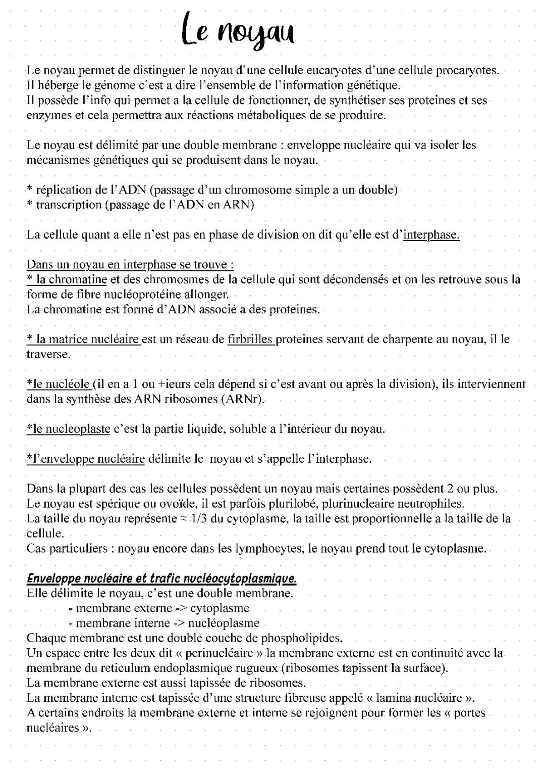  Fiche de révision sur le noyau