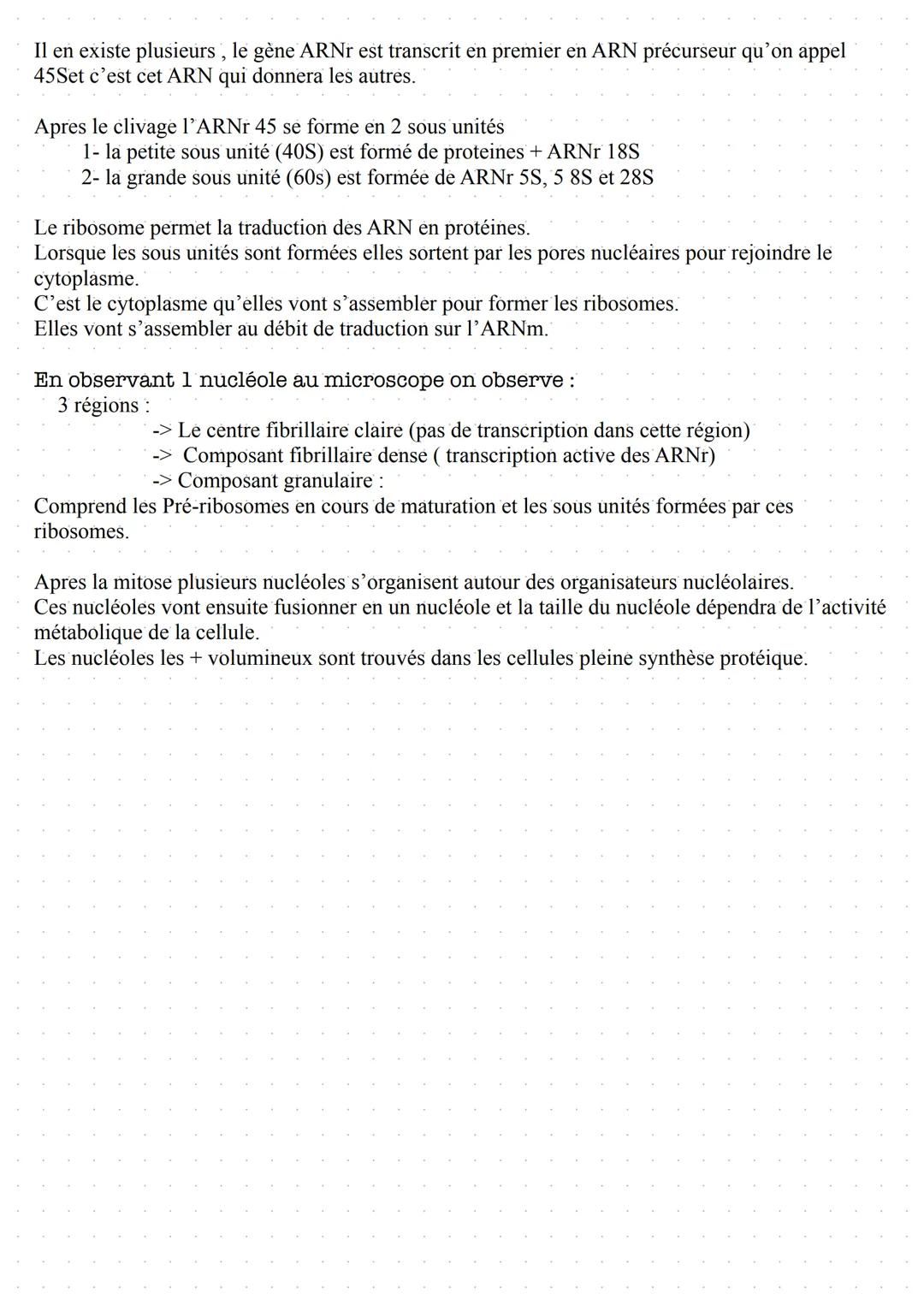 Le noyau
Le noyau permet de distinguer le noyau d'une cellule eucaryotes d'une cellule procaryotes.
Il héberge le génome c'est a dire l'ense
