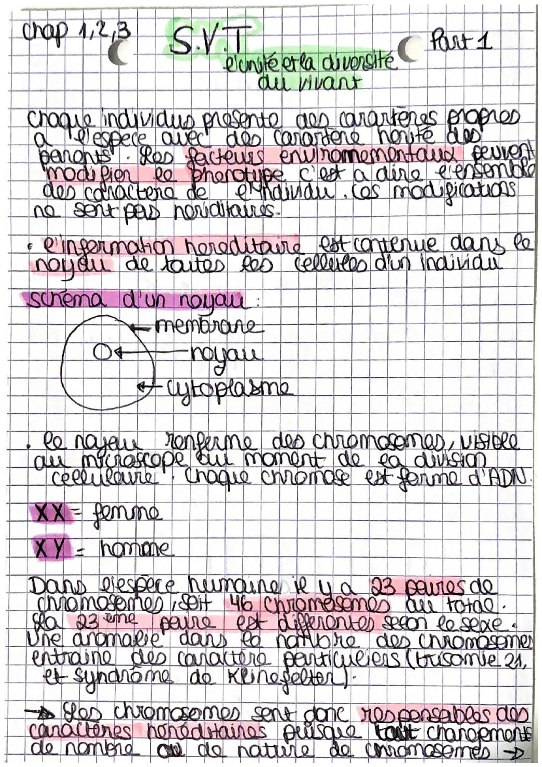 chap 1,2,3 S.VT
l'unité et la diversité C
du vivant
€
chaque individus présente des cararteres propres
a l'espece avec des carartere herité 