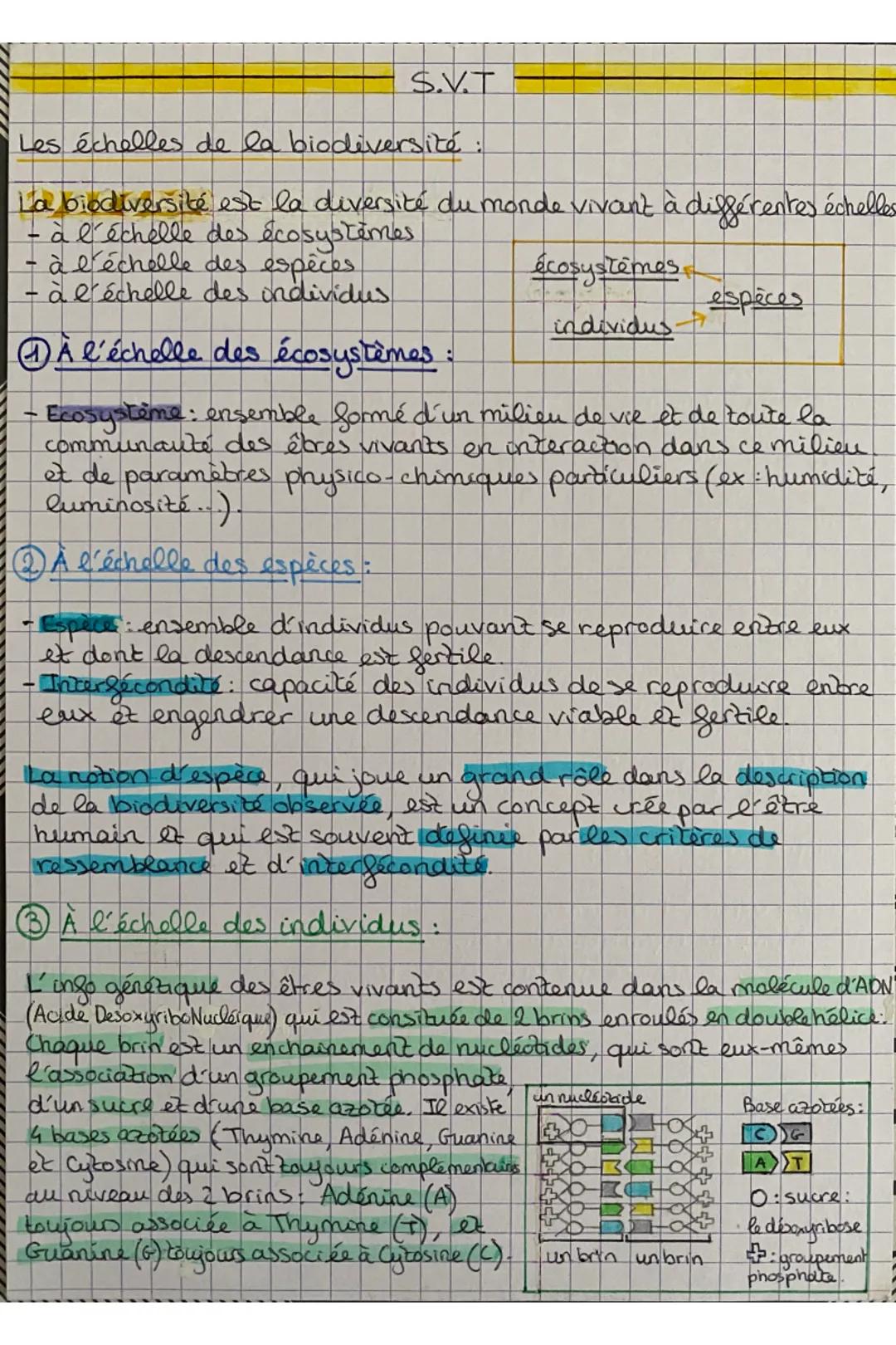 S.V.T
Les échelles de la biodiversité :
La biodiversité est la diversité du monde vivant à différentes échelles
à l'échelle des écosystemes
