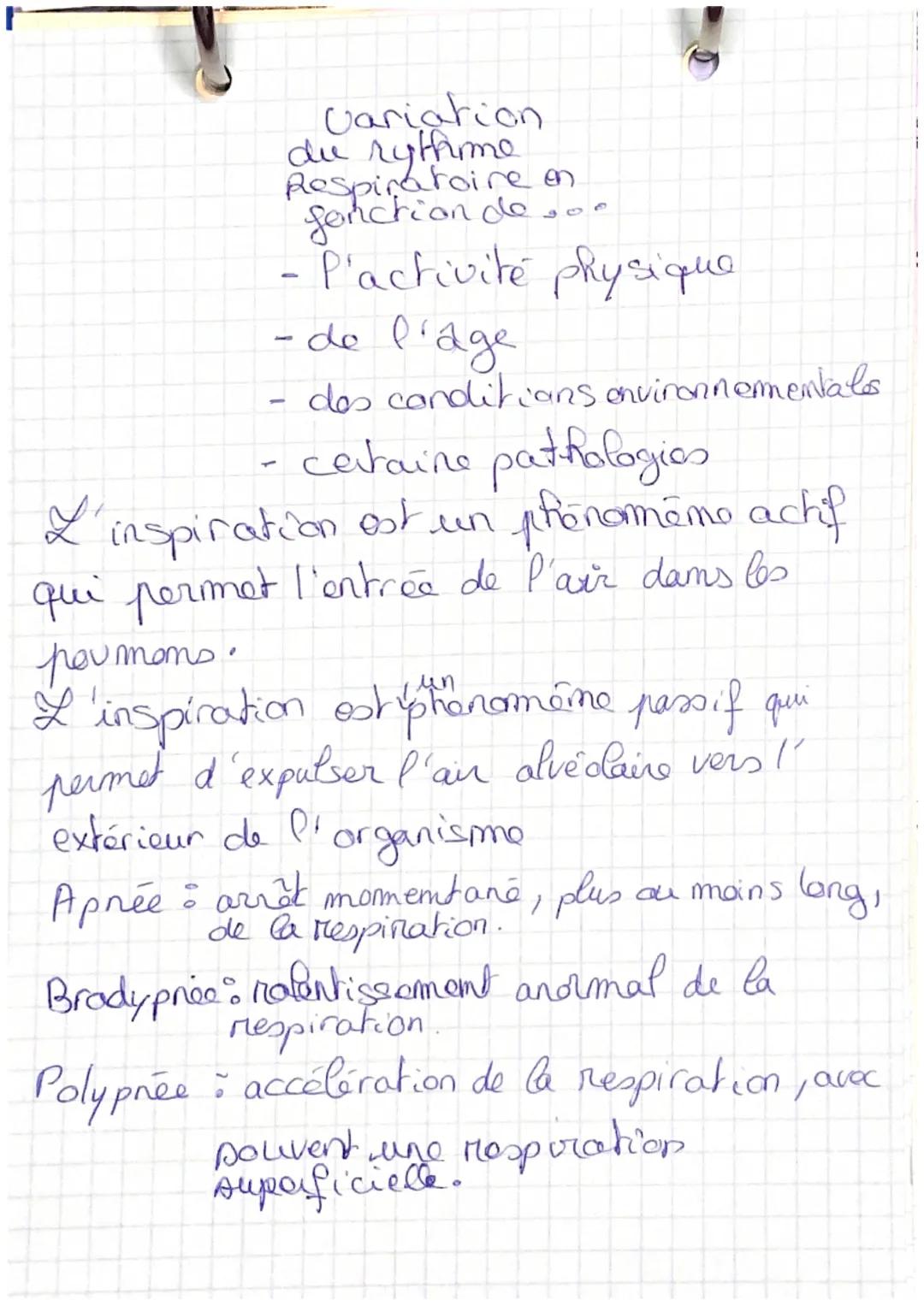 fosses f
nasales
bronche
lobes
Appareil respinatone-
عال
poumon
choit
diaphragme î
15
Larynx
TRachée
pieure
bronchiole
alvéde
pulmonaire var