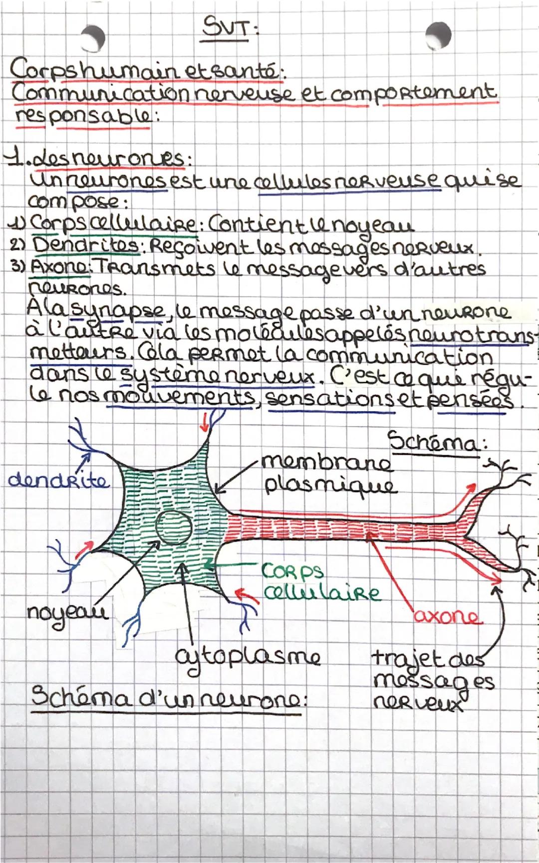 SVT:
Corps humain et santé:
Communication nerveuse et comportement.
responsable:
1. des neurones:
unneurones est une cellules nerveuse quise