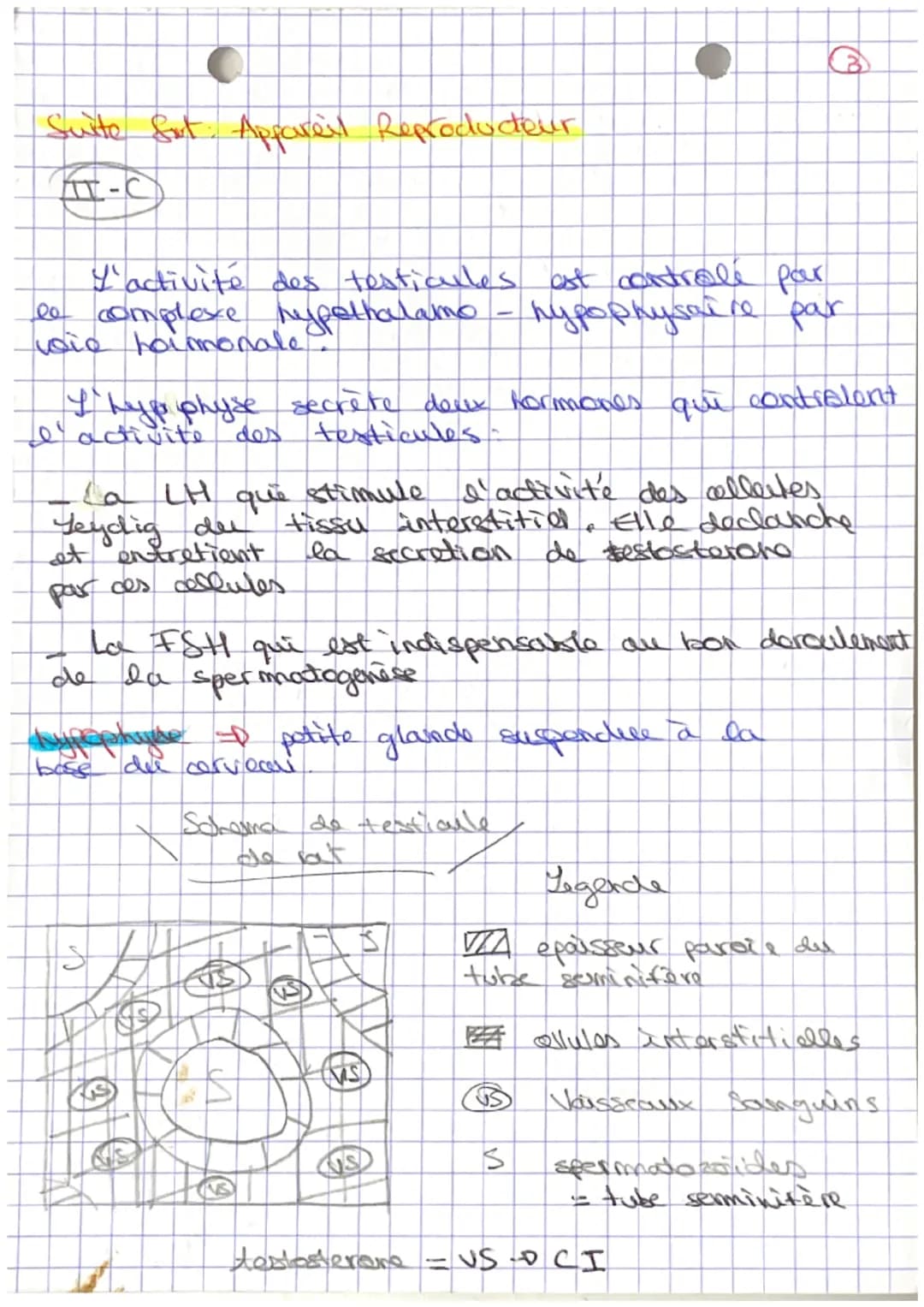 Sut: Apparel producteur

te sexe biologique (9/07) est défini:

- genetiquement (XX; XY)

- anatomique (diff de caractères.
'appareil réprod