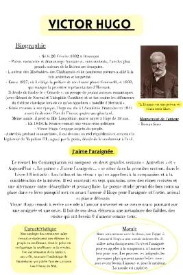 Know Biographie de Victor Hugo thumbnail