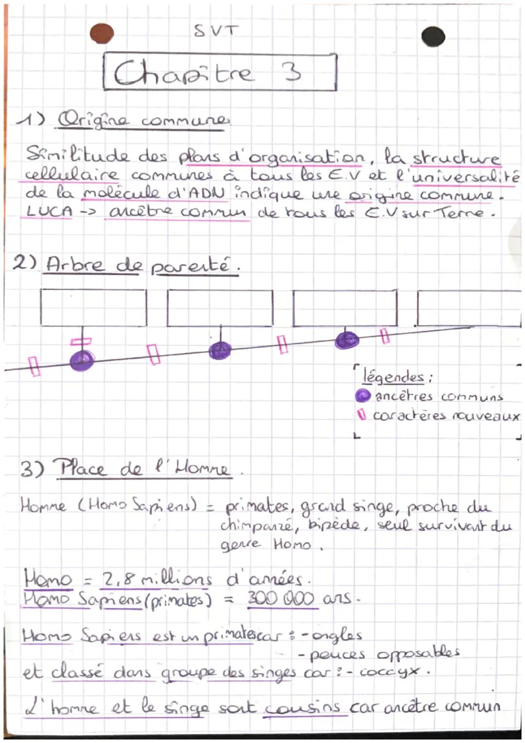 SVT
# Chapitre 3
1) Qrigine commune
Similitude des plans d'organisation, la structure
cellulaire communes à tous les E.v et l'universalité
d