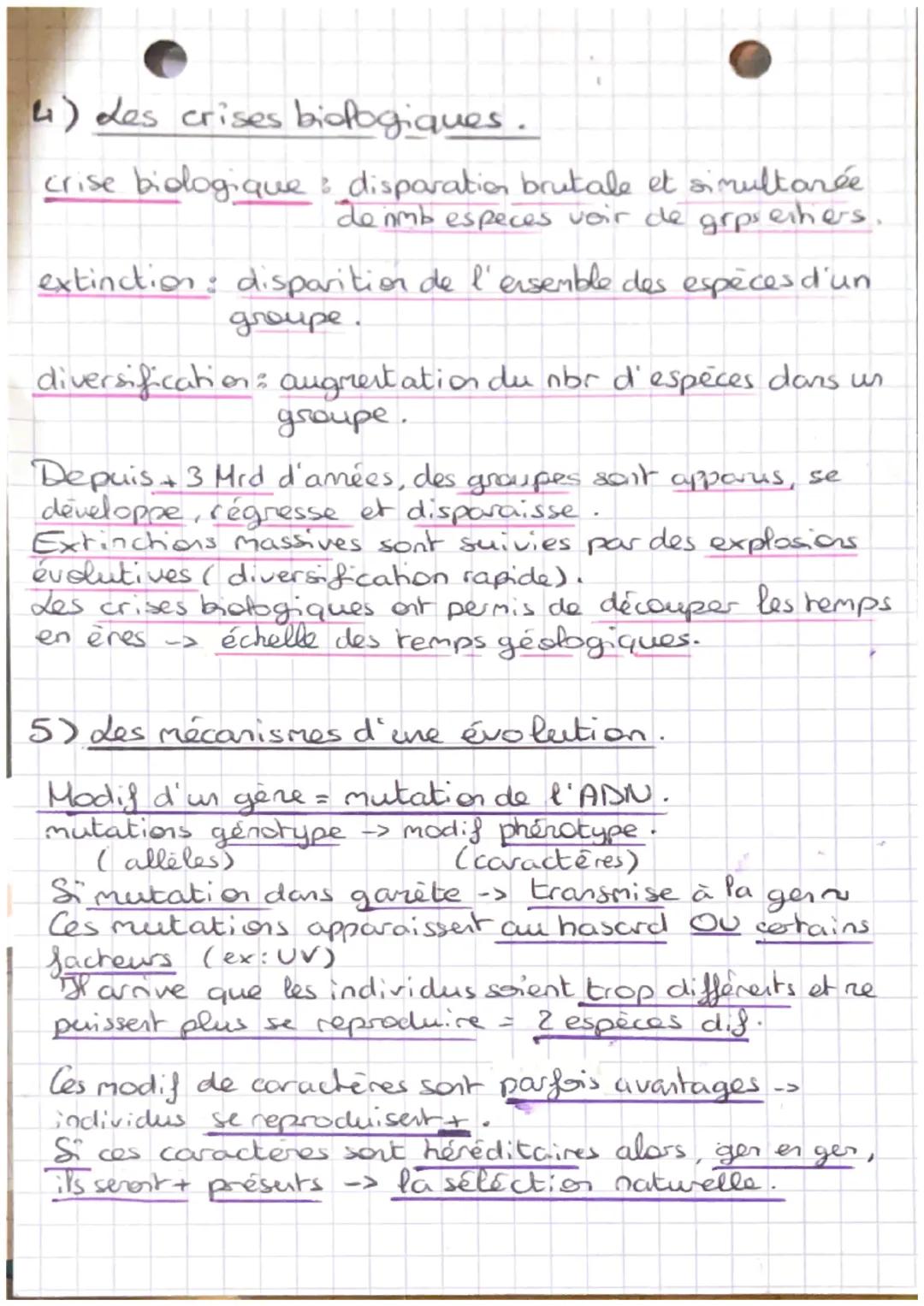SVT
# Chapitre 3
1) Qrigine commune
Similitude des plans d'organisation, la structure
cellulaire communes à tous les E.v et l'universalité
d