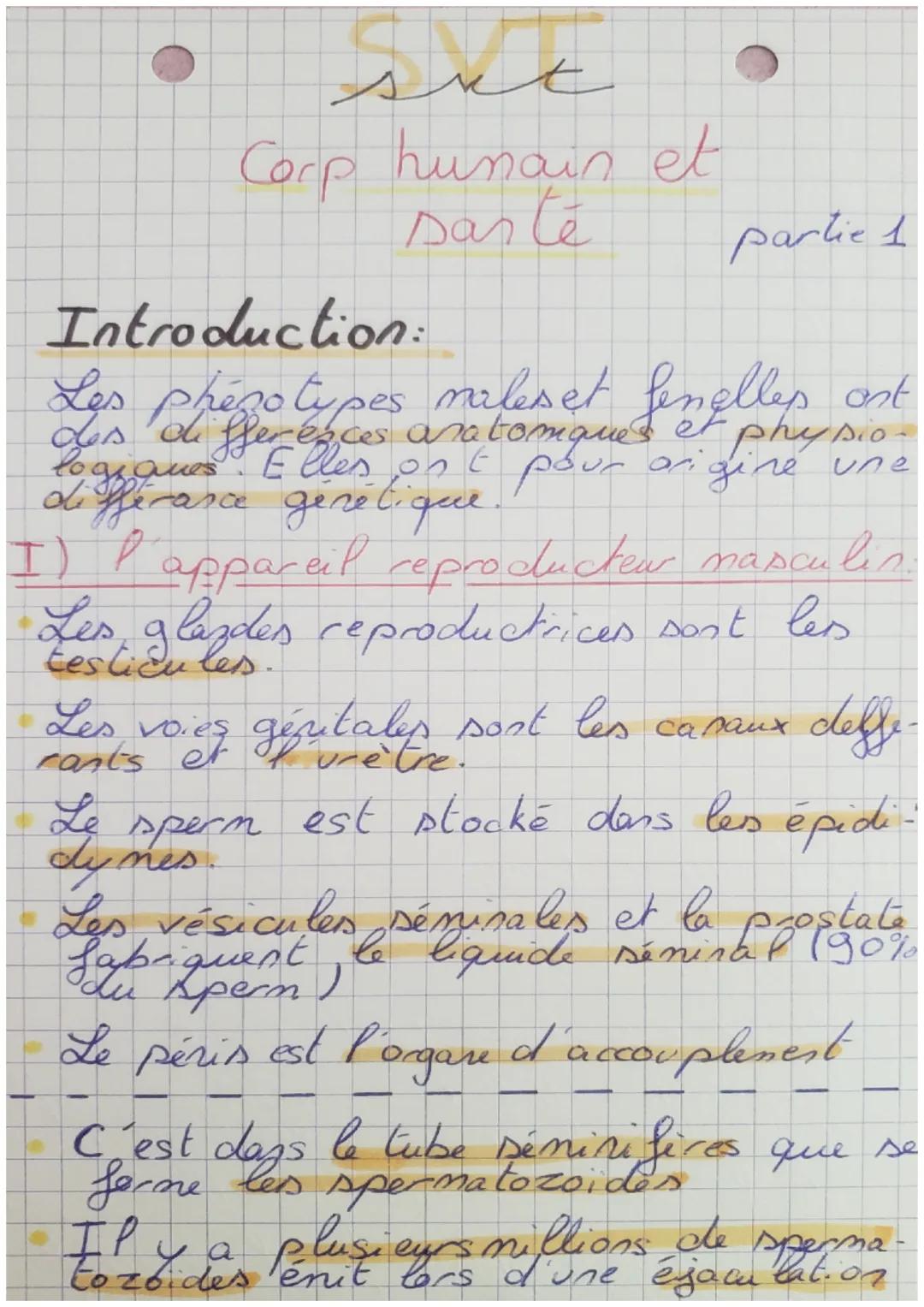 sut

Corp hunain et
sante partie 1

Introduction:
Les phenotypes maleset fenelles ant
des differences anatomiques et physio-
logiques. E
ori