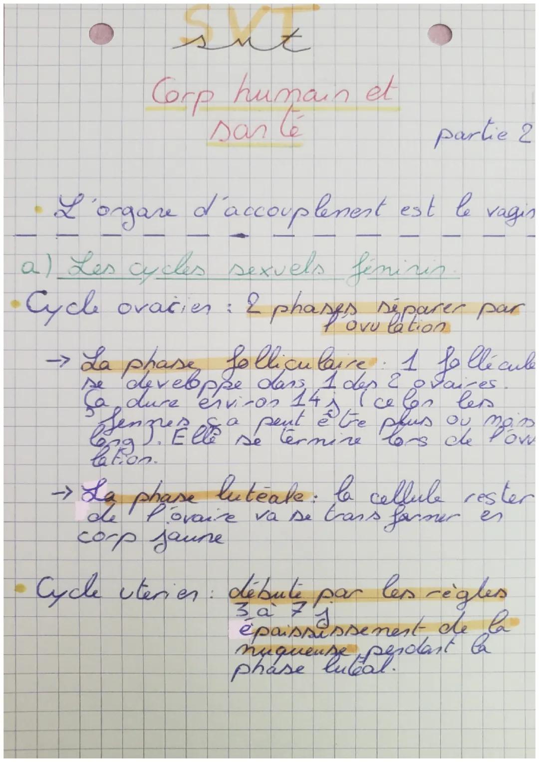sut

Corp hunain et
sante partie 1

Introduction:
Les phenotypes maleset fenelles ant
des differences anatomiques et physio-
logiques. E
ori