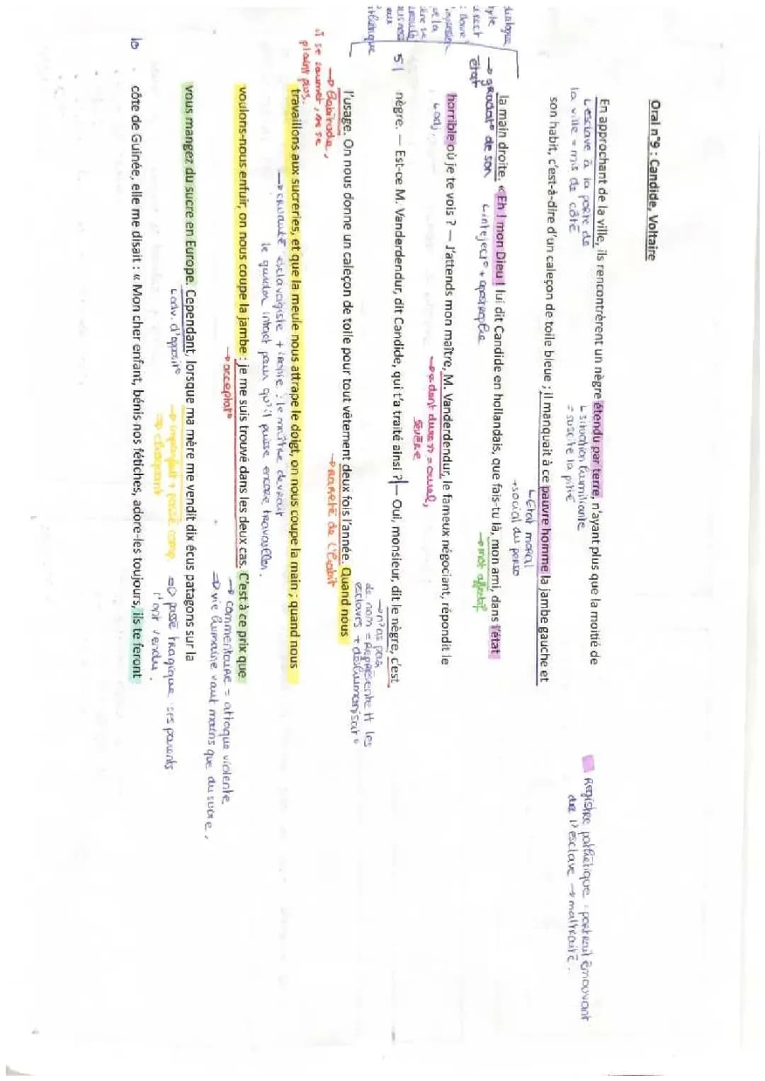 Analyse linéaire de Candide chapitre 19 et chapitre 1, thèmes principaux et messages