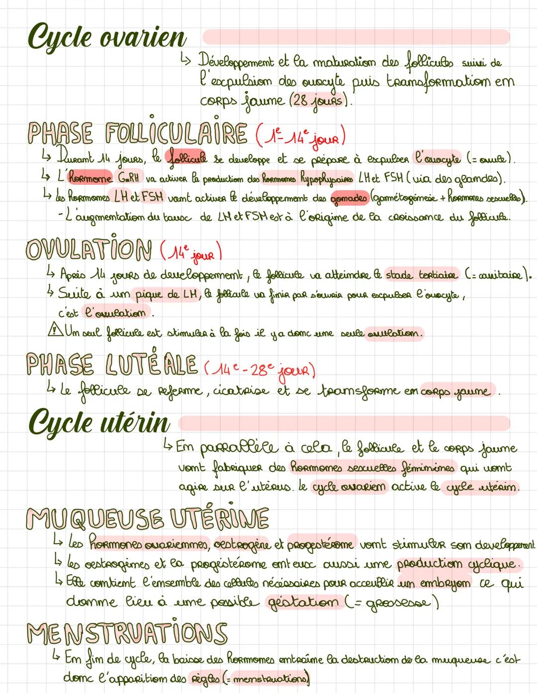 Cycle ovarien
↳> Développement et la maturation des follicules
l'expulsion des ouscyte puis transformation em
CORPs jaume (28 jours).
PHASE 