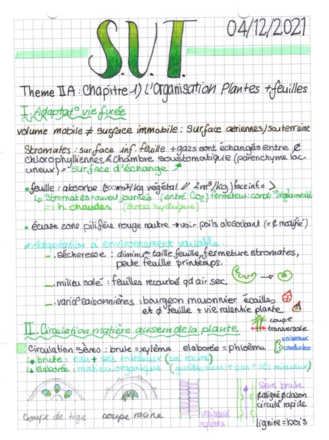 # SVT

04/12/2021

Theme IIA: Chapitre 1) 'Organisation Plantes + feuilles

I. Adaptat vie fixée

volume mobile surface immobile: Surface ae