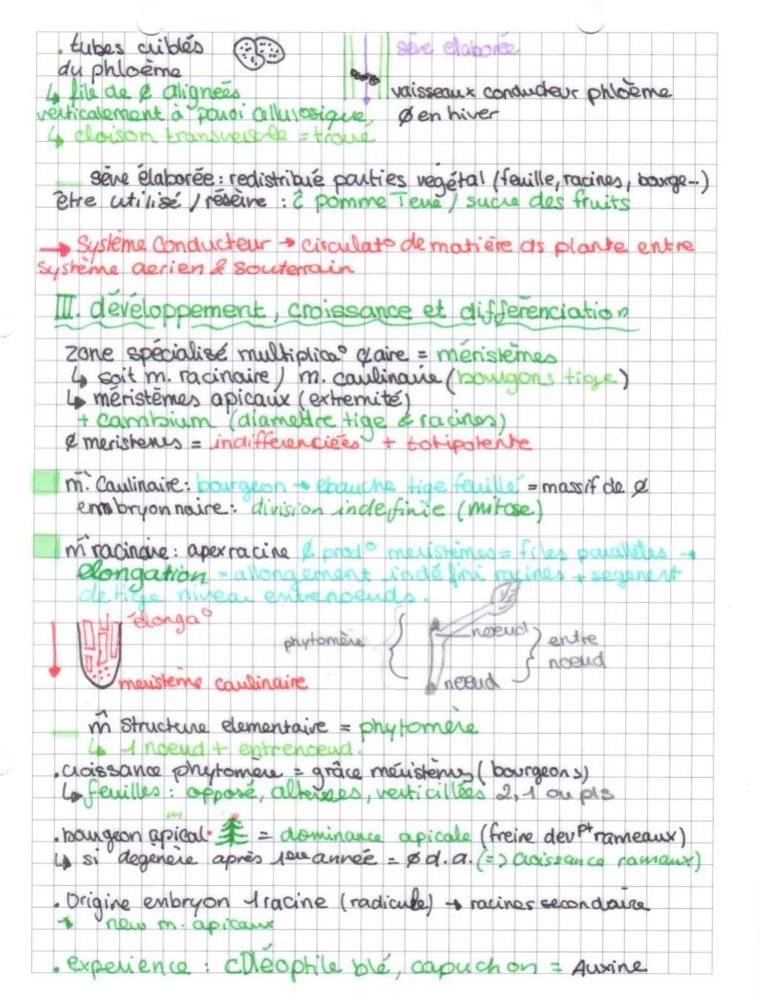 # SVT

04/12/2021

Theme IIA: Chapitre 1) 'Organisation Plantes + feuilles

I. Adaptat vie fixée

volume mobile surface immobile: Surface ae