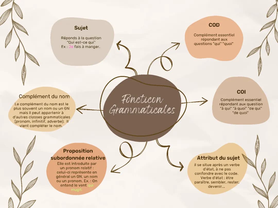 Comprendre les fonctions grammaticales : COD, COI, et plus en français !