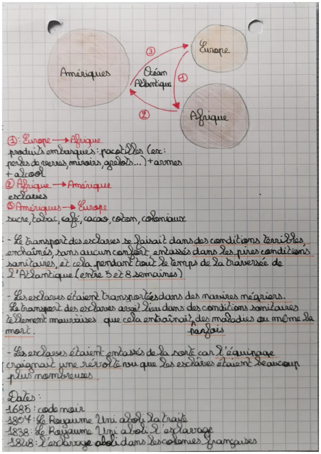 HISTOIRE
commerce et traites mégrières.
au 18° siècle
Grand
I- Empires coloniaux et commence maritime
- Les Européens de l'Ouest dominaient 