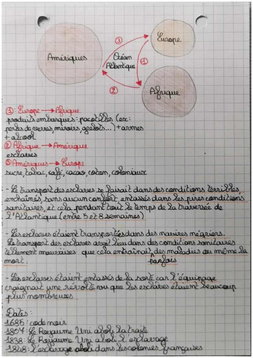 HISTOIRE
commerce et traites mégrières.
au 18° siècle
Grand
I- Empires coloniaux et commence maritime
- Les Européens de l'Ouest dominaient 