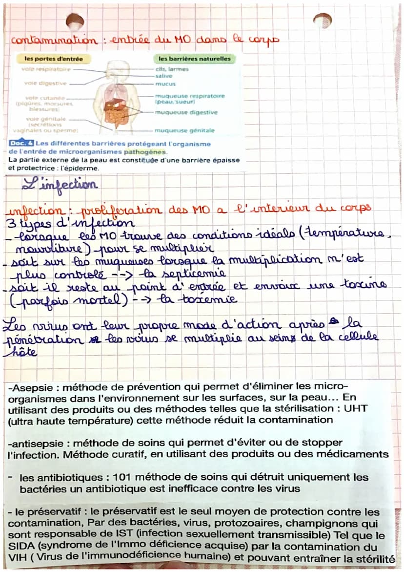 IMMUNOLOGIE
Les défenses de l'organisme contre les MD pathogène
le
sang : est un liquide qui contient des cellules
les globules blancs → leu