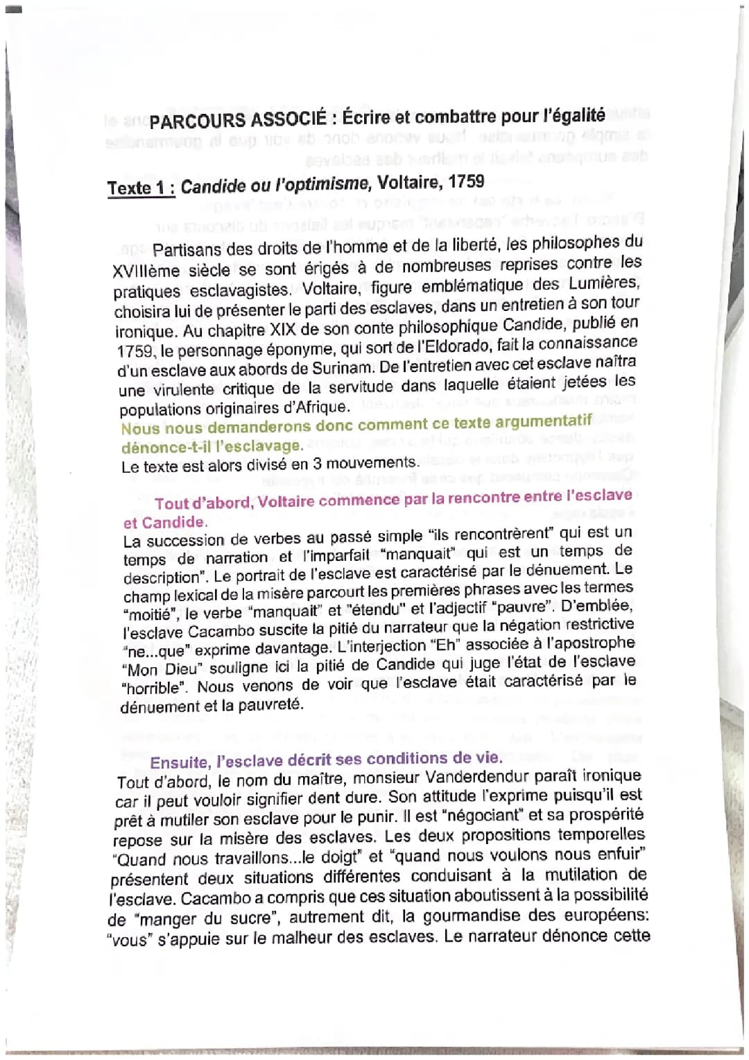 Candide Voltaire: Analyse linéaire Chapitre 1 et Chapitre 19 PDF
