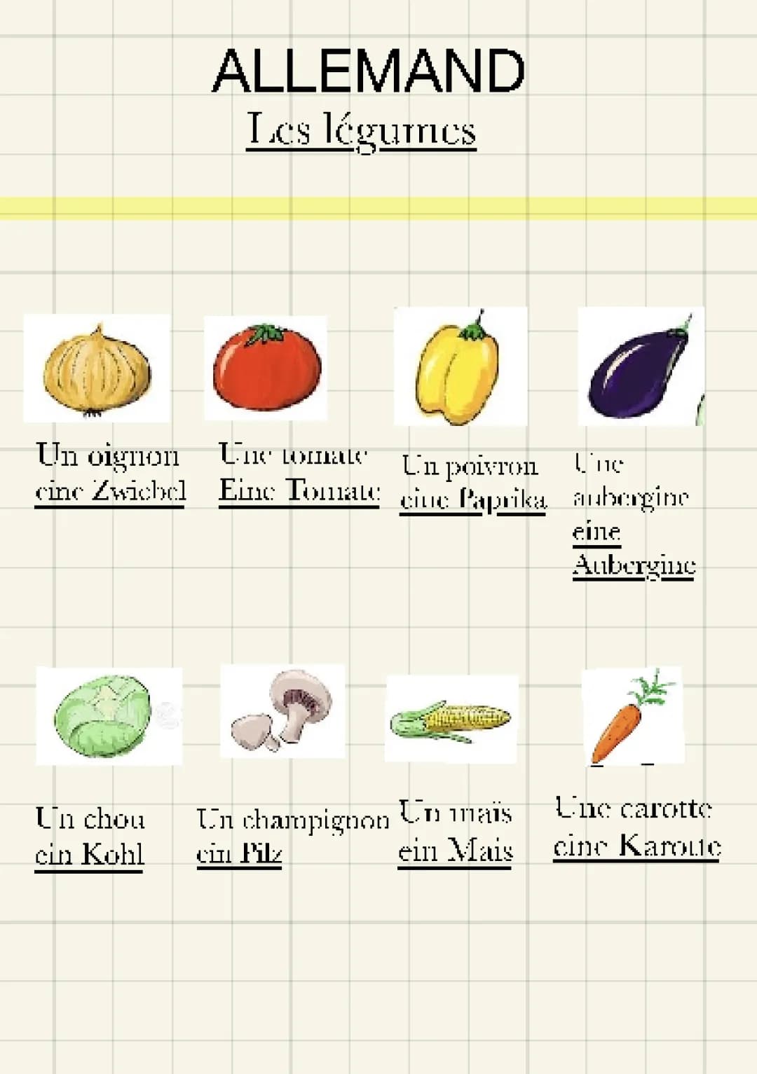 Fruits und Gemüse auf Deutsch: PDF mit Vokabular und Übungen