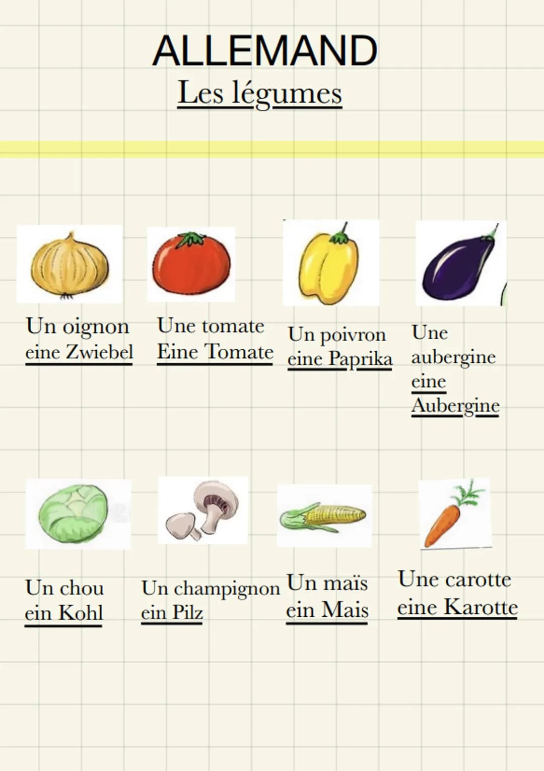 ALLEMAND
Les légumes
Un oignon Une tomate Un poivron Une
eine Zwiebel
Eine Tomate eine Paprika aubergine
eine
Aubergine
Un chou Un champigno