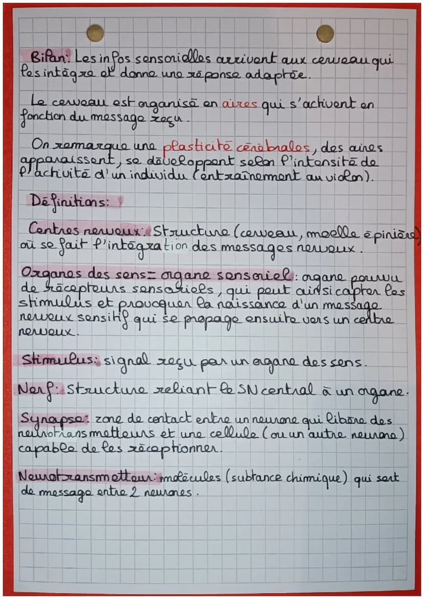 Le corp humain et
la santé
Bilan: Dans notre vie quotidienne, nous sommes soumis
à de multiples et constantes stimulation sensorielles.
Ces 