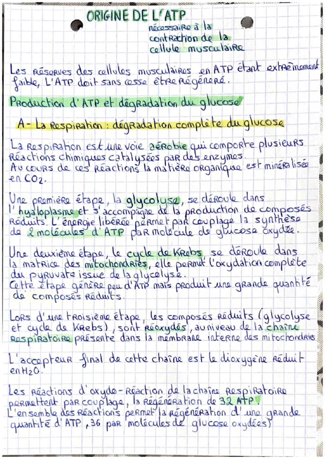ORIGINE DE L'ATP
nécessaire à la
contraction de la
cellule musculaire
Les Réserves des cellules musculaires en ATP étant extrêmement
faible,