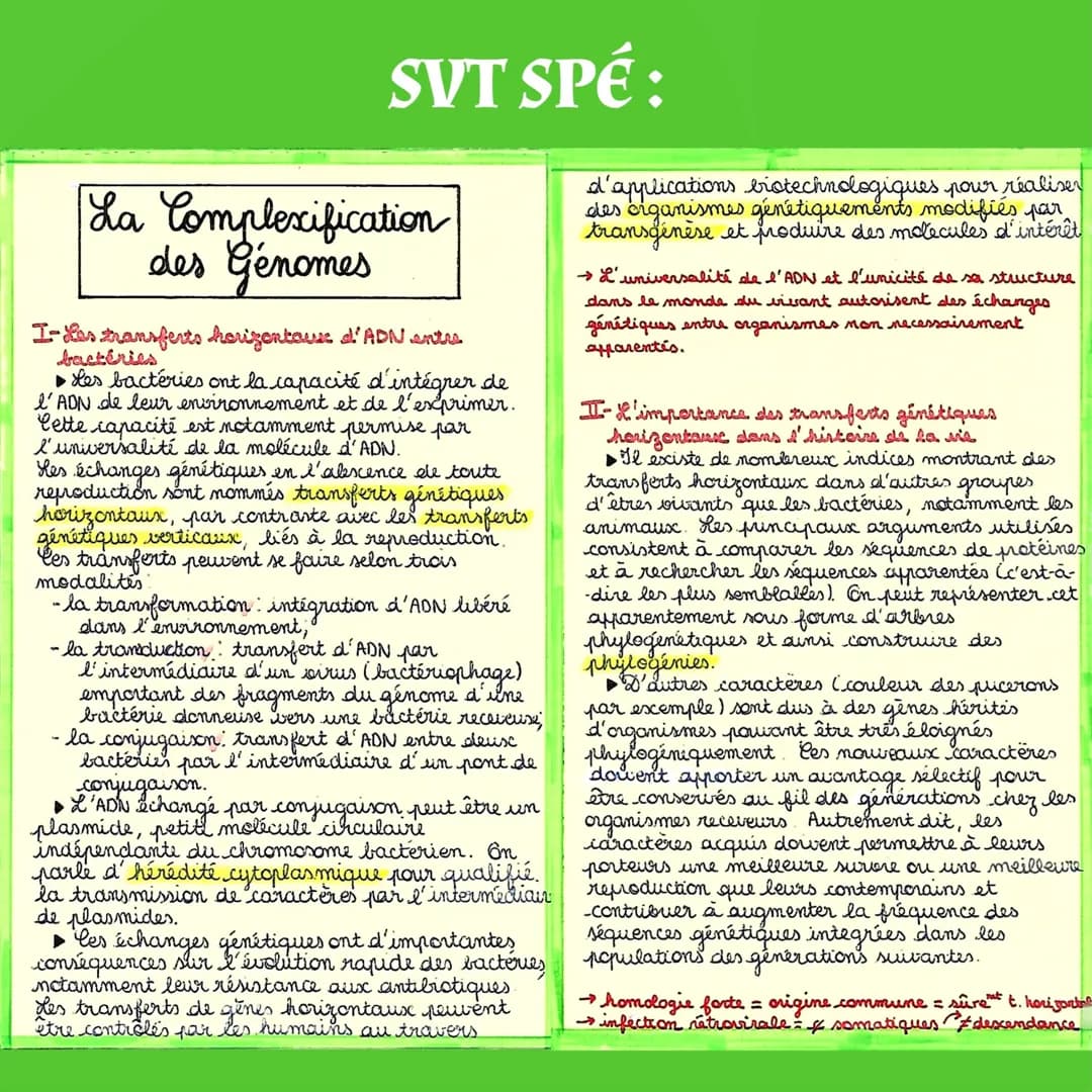 SVT SPÉ:
Origine du
Genotype des Individus
I- La conservations des genomes: stabilité
génétique et évolution clonale
▶Une cellule qui subit 