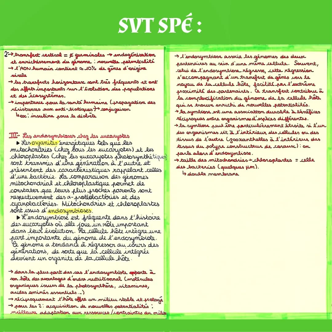 SVT SPÉ:
Origine du
Genotype des Individus
I- La conservations des genomes: stabilité
génétique et évolution clonale
▶Une cellule qui subit 